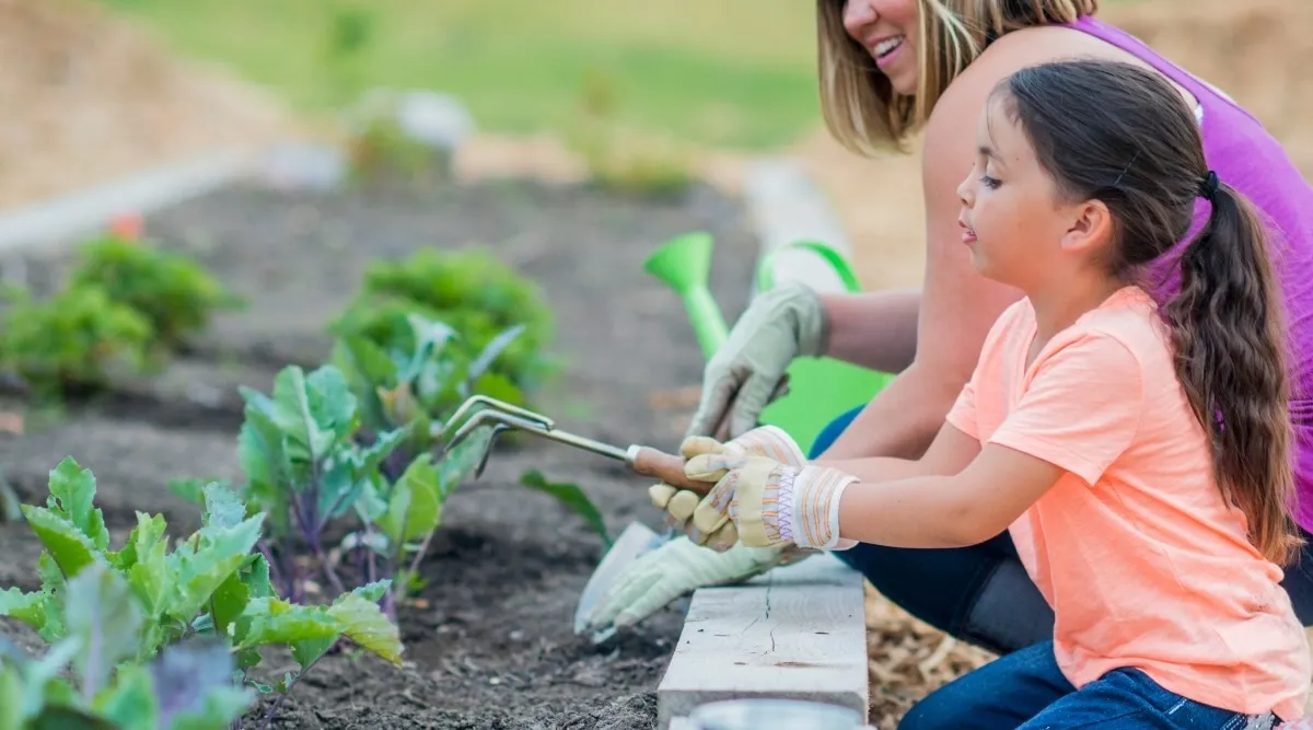 gardening 