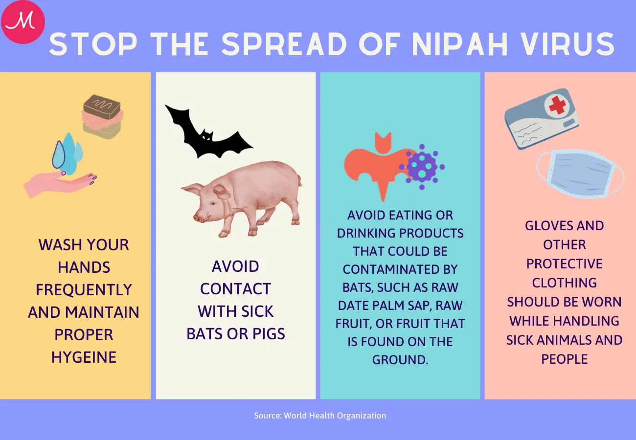 All you need to know about Nipah virus Read more at httpsbangaloremirror.indiatimes.combangaloreothersall-you-need-to-know-about-nipah-virus