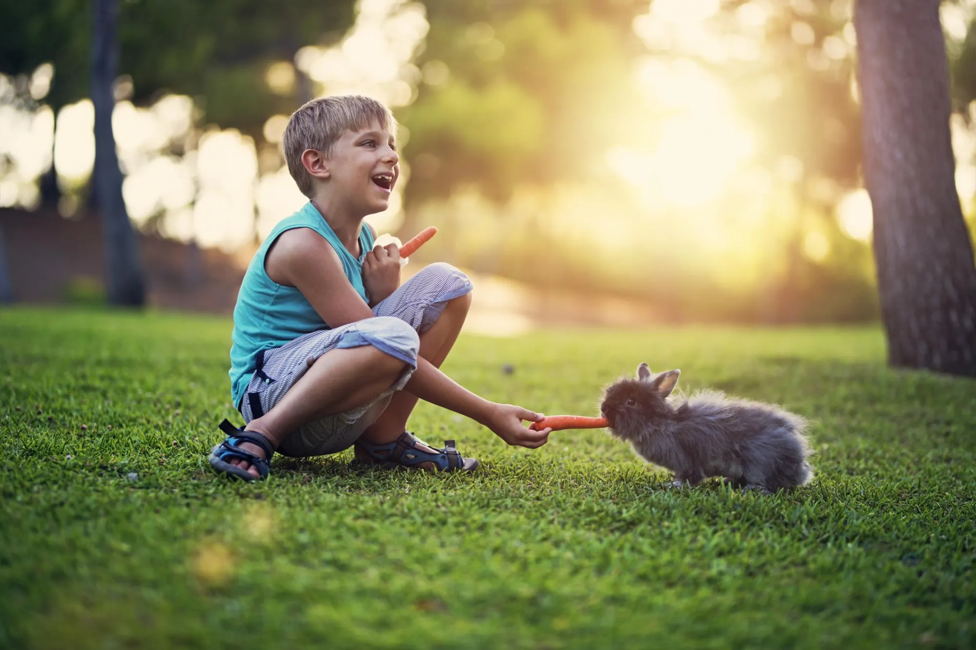 5 Ways To Teach Your Kids Compassion Towards Animals