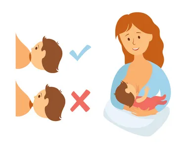 Baby Positioning - Breastfeeding - How To Hold Baby