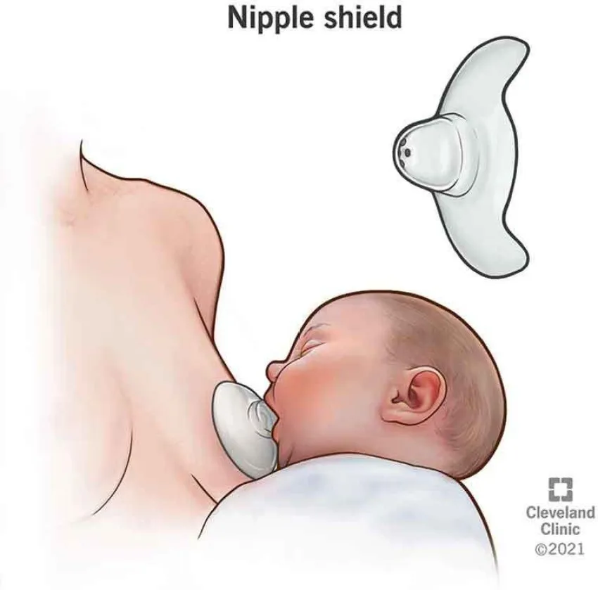 JIALTO 5578 Silicone Nipple for Breastfeeding with Latch Difficulties Breast  Nipple Shield Price in India - Buy JIALTO 5578 Silicone Nipple for  Breastfeeding with Latch Difficulties Breast Nipple Shield online at  Flipkart.com