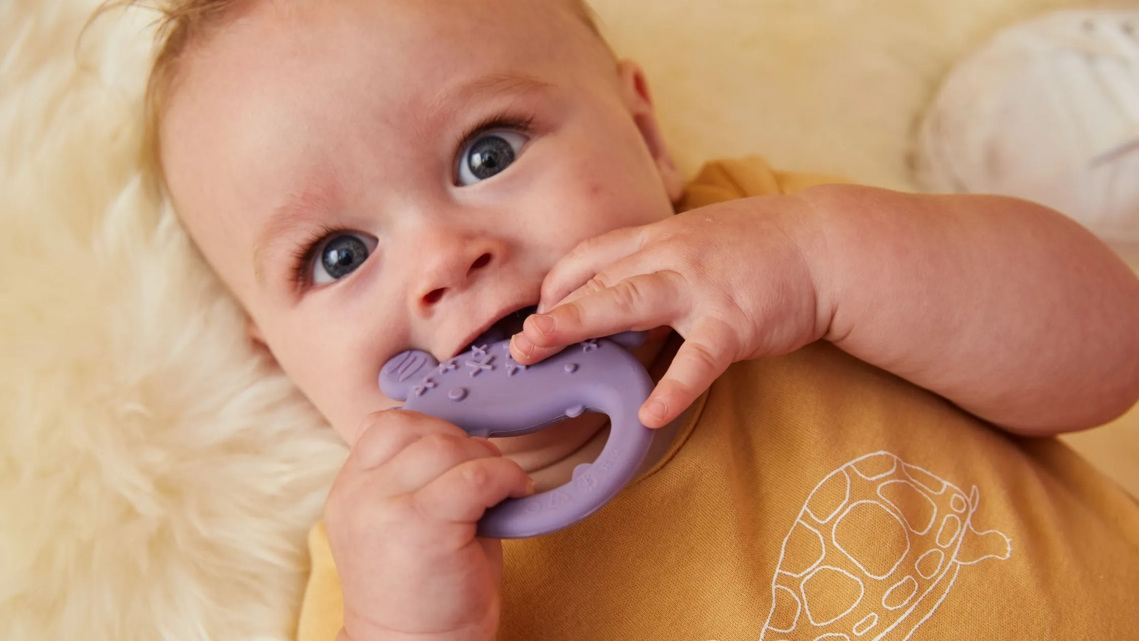 The importance of non-toxic teethers: how to choose safe options – b.box  for kids