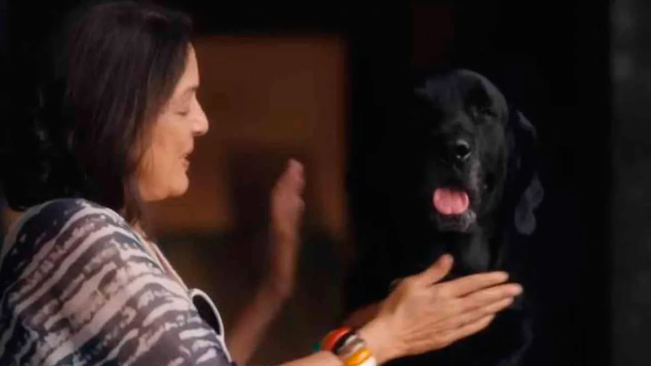 Dil Dosti Aur Dogs