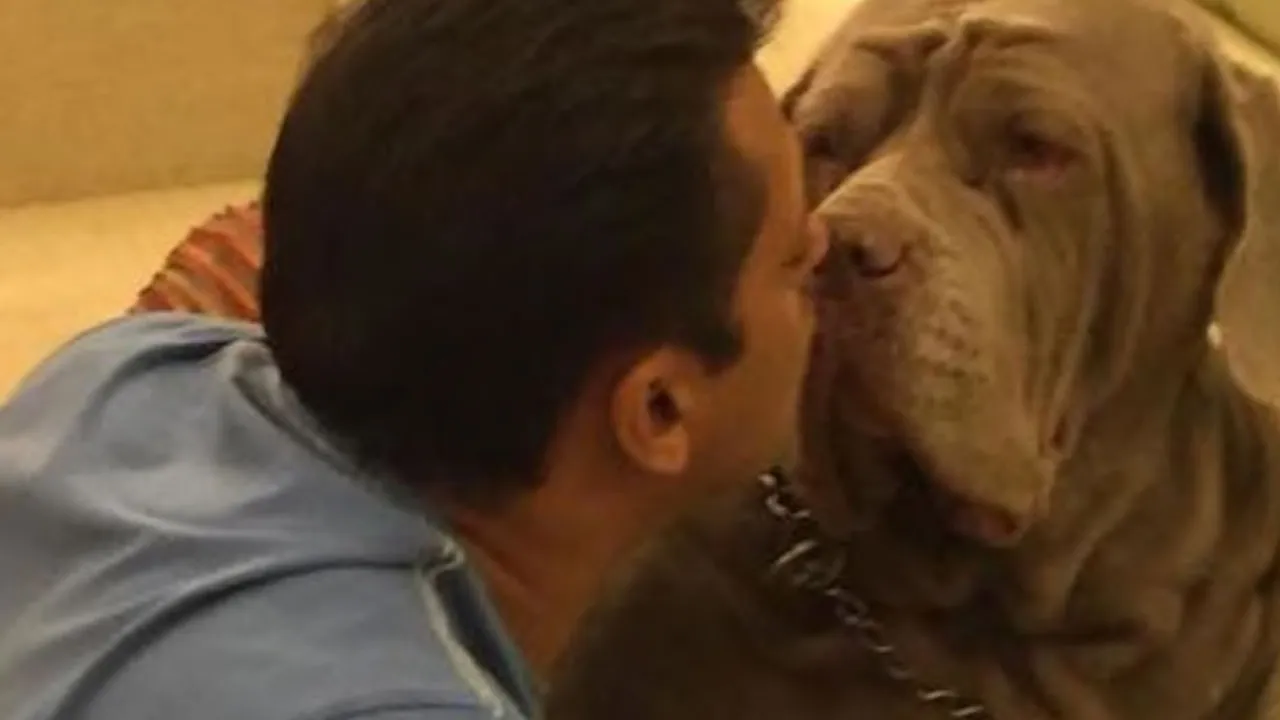 Salman Khan My Love
