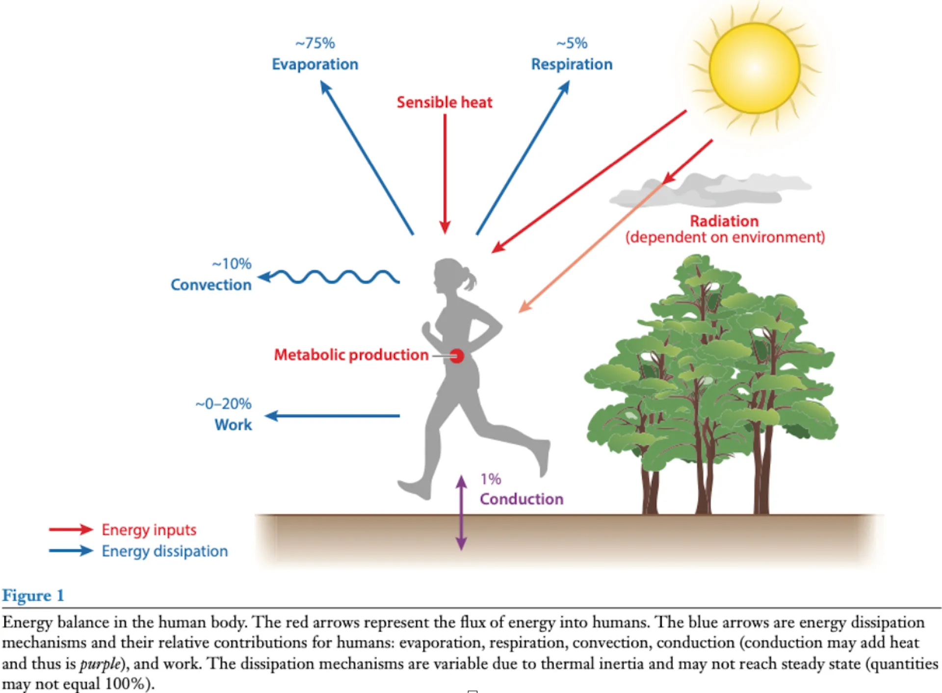 Heat desert tropics.png