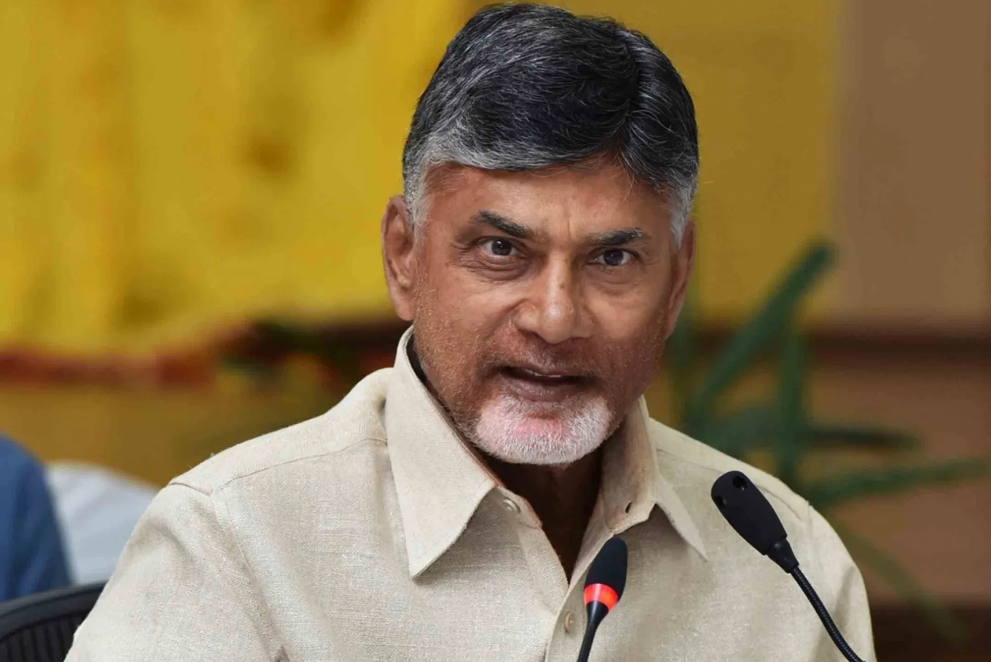 N Chandrababu Naidu TDP Andhra Pradesh