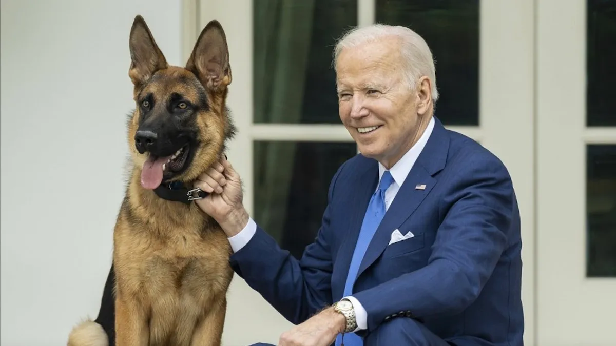 President Joe Biden with his German shepherd dog Commander