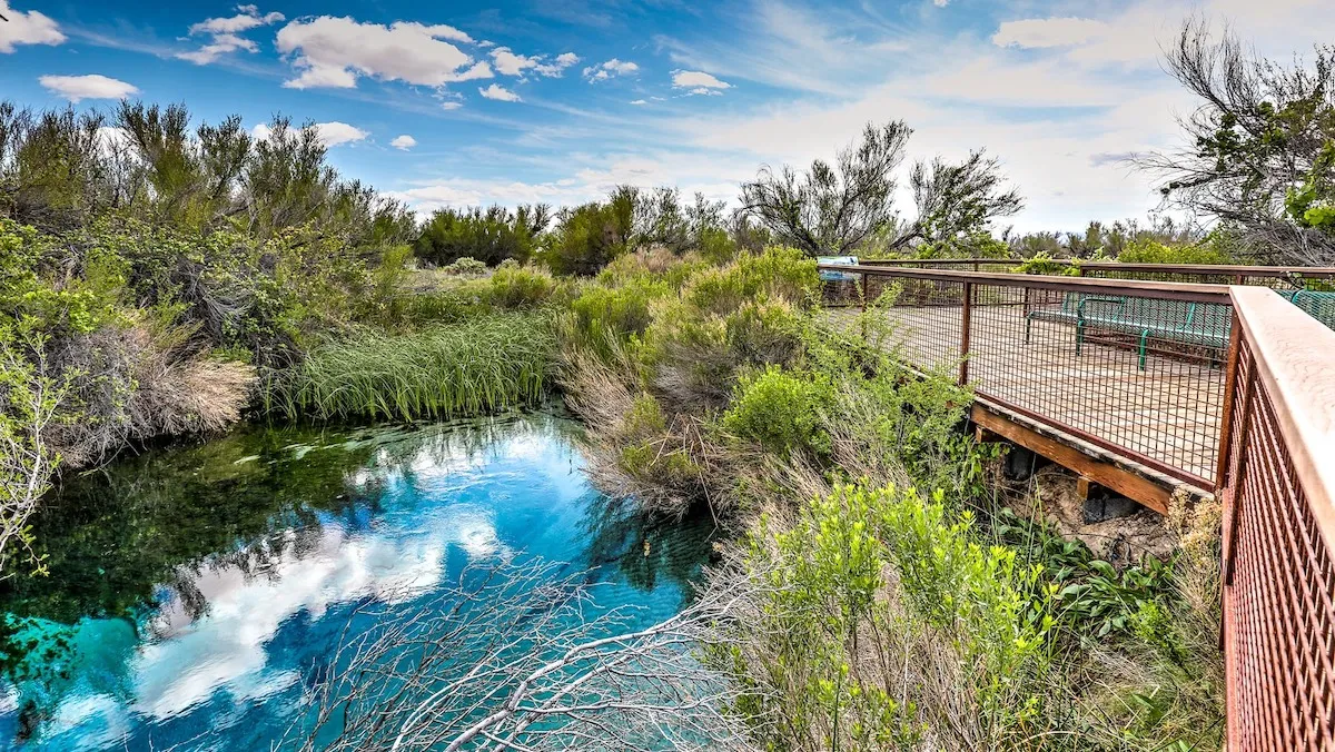 Ash Meadows National Wildlife Refuge