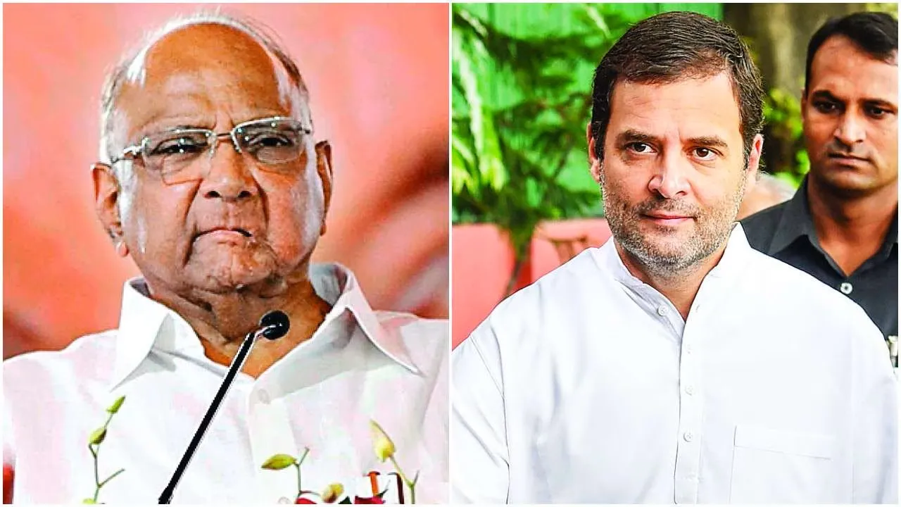 Sharad Pawar Rahul Gandhi