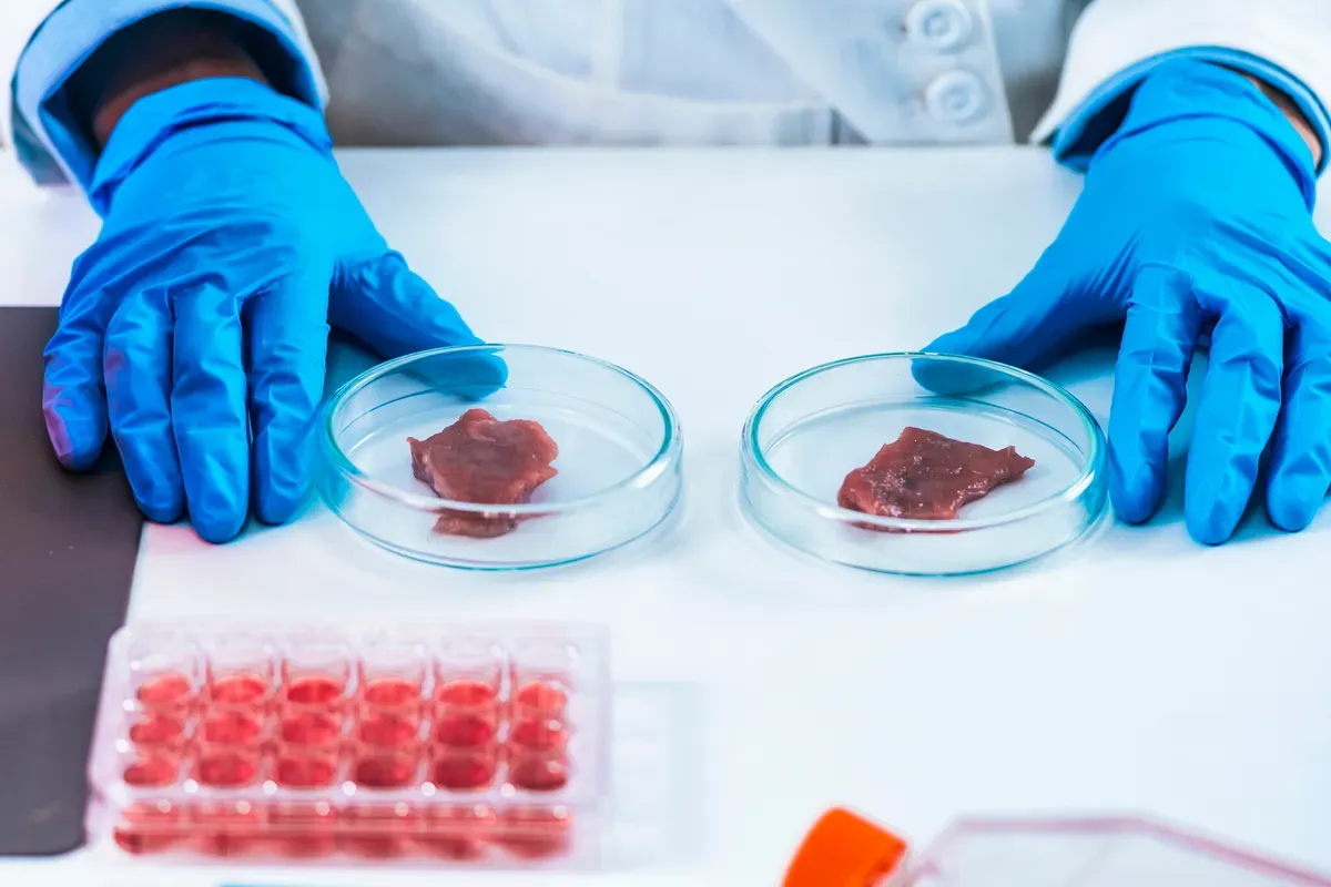 CULTURED LAB GROWN MEAT