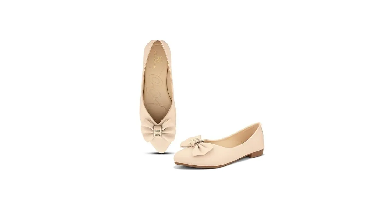 XE Looks Stylish Ballerinas