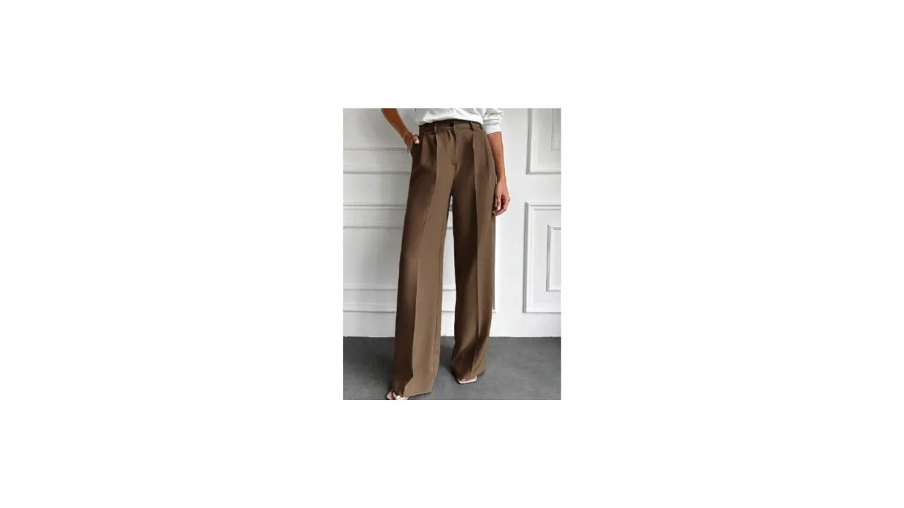 BROADSTAR Women Pleated Korean Formal Trousers