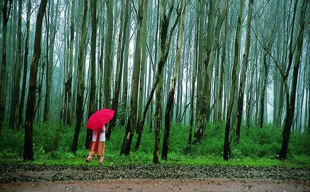 Pachmarhi