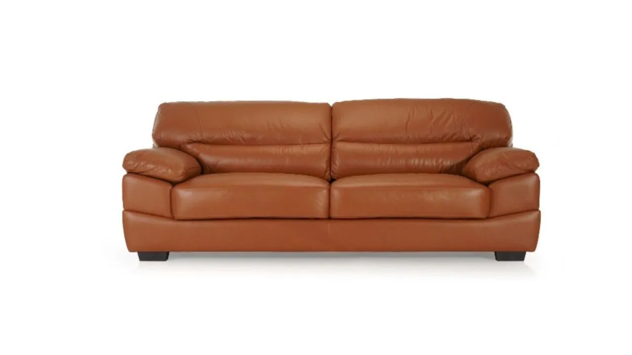 Homevibes Graceful Haven Leather Sofa 