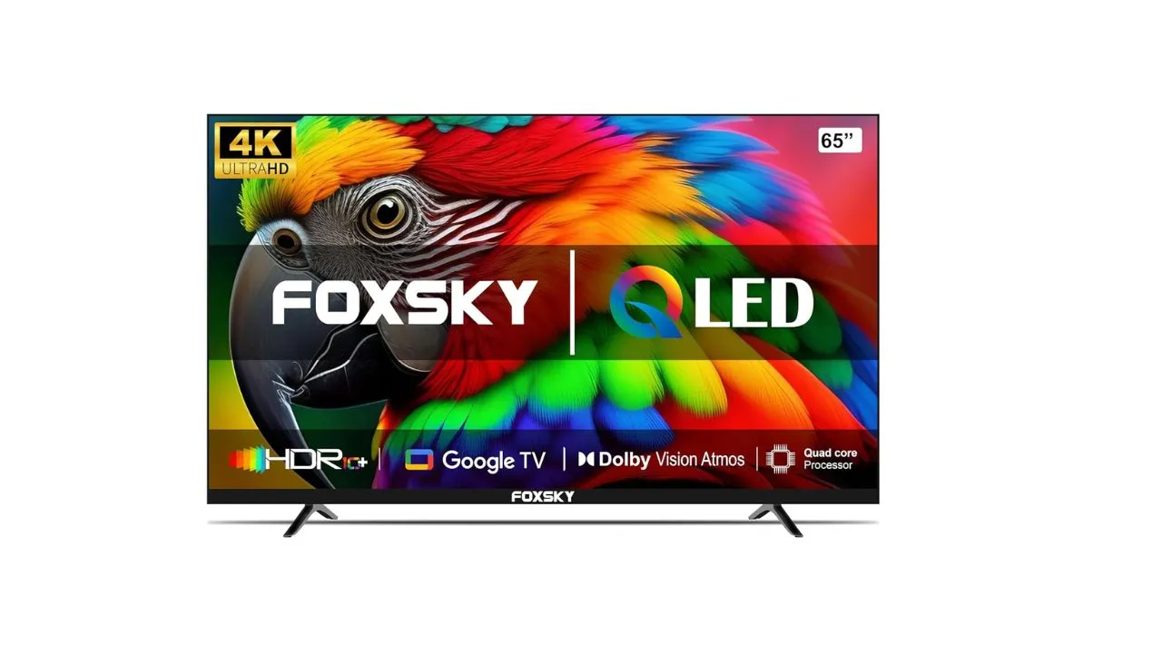 Foxsky 165 cm (65 inch) Frameless