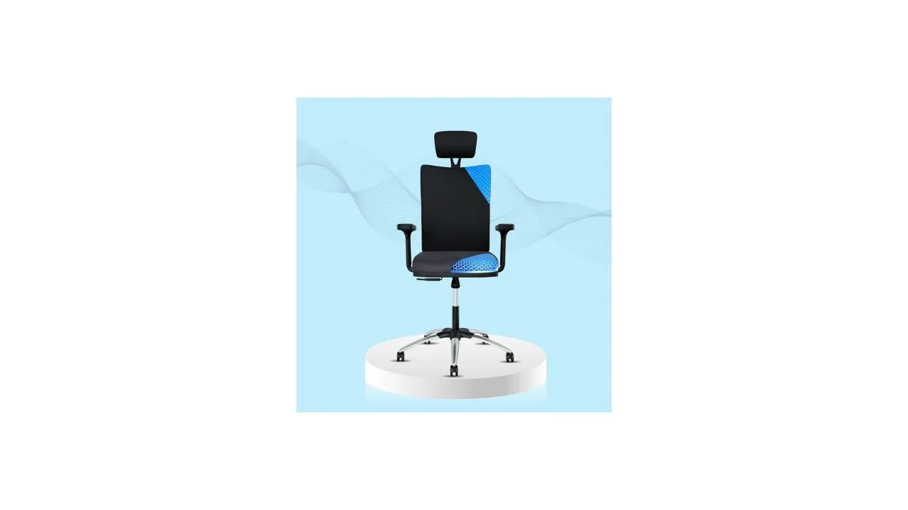 ErgoSmart by The Sleep Company Office Chair