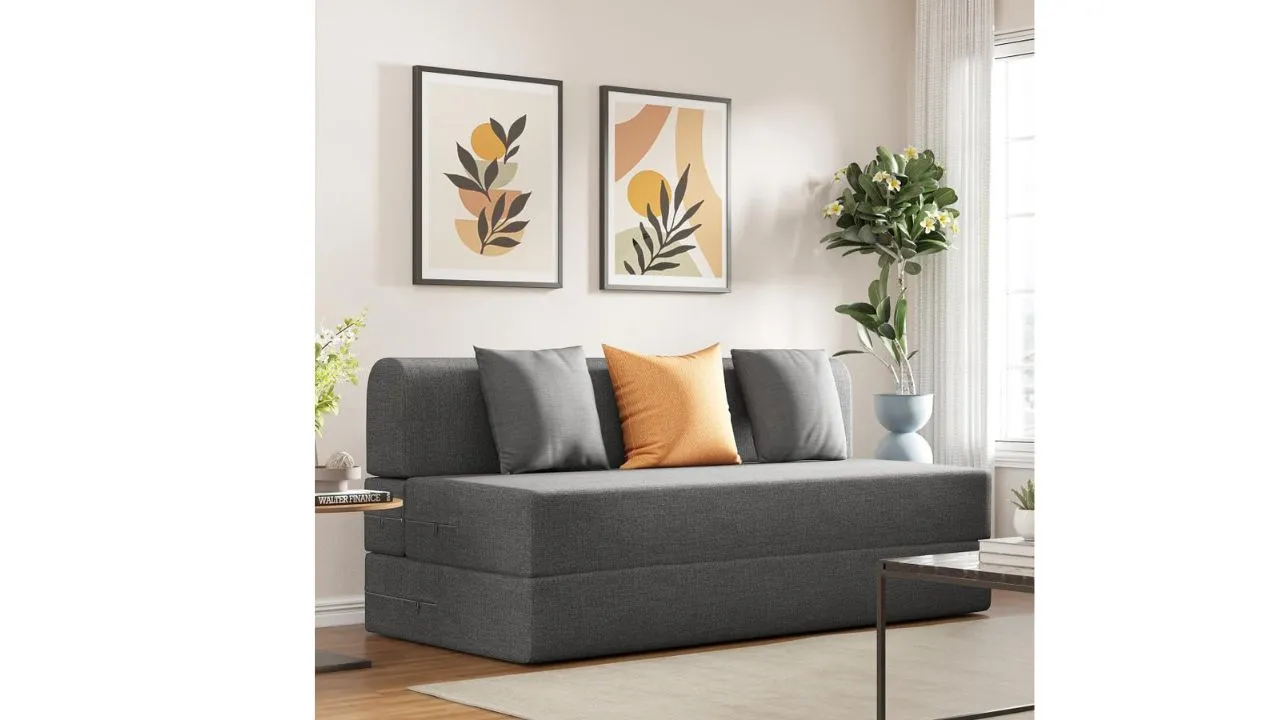 Wakefit Sofa Cum Bed