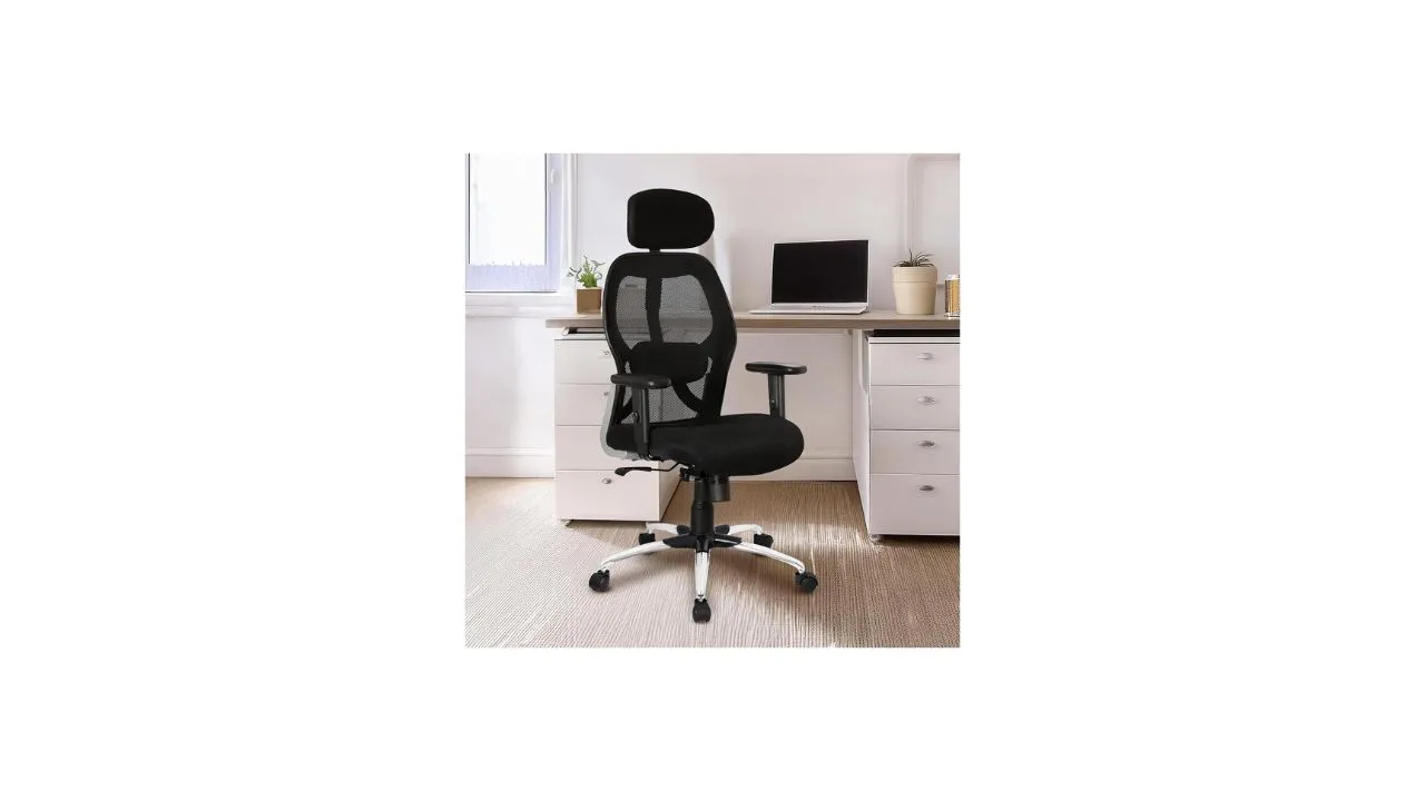 SAVYA HOME Apollo High Back Office Chair