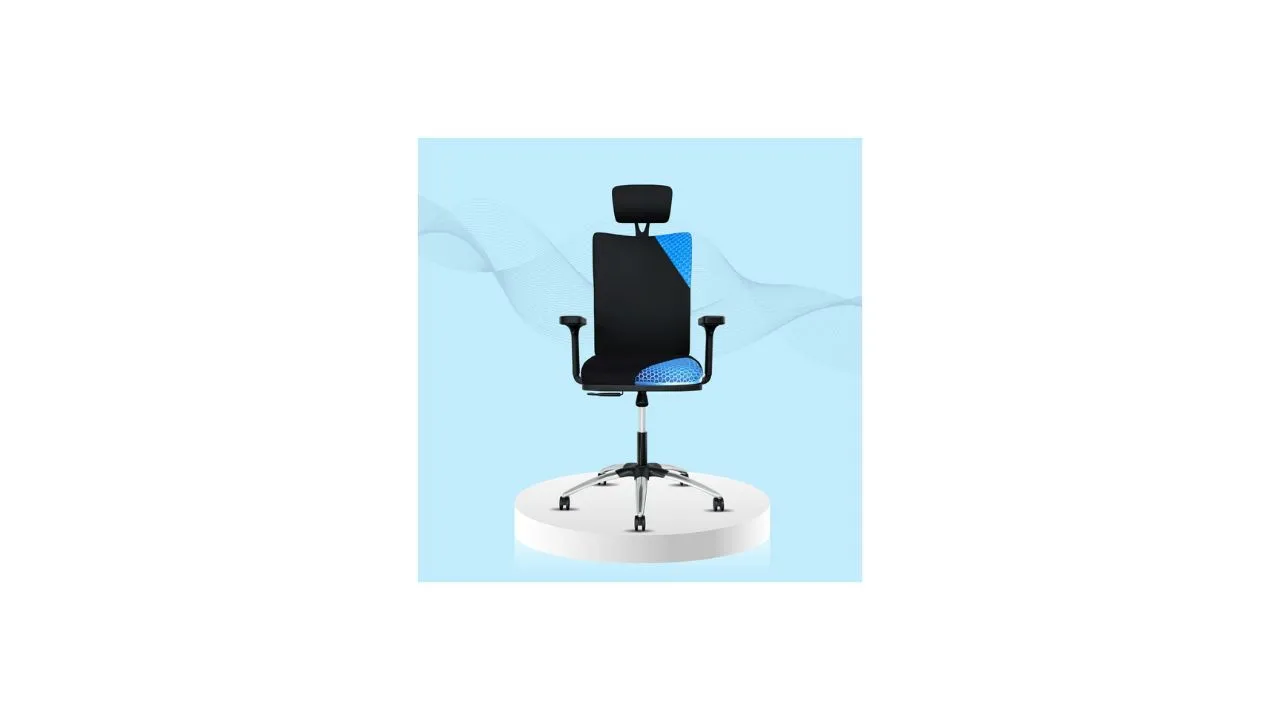 ErgoSmart by The Sleep Company Office Chair