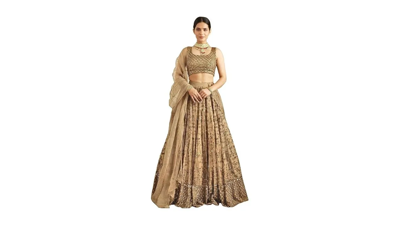 TRENDMALLS Women's Georgette Lehenga Choli 