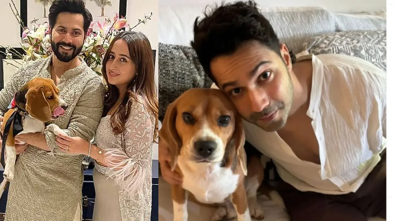 varun d