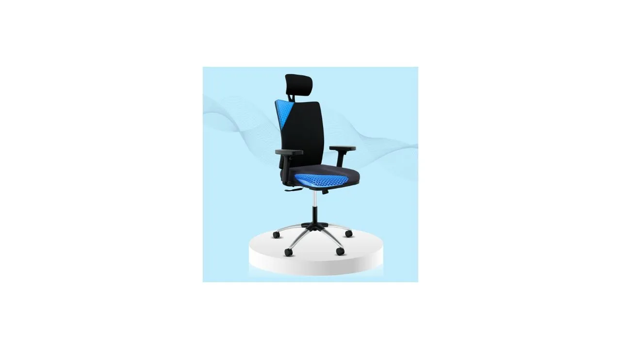 ErgoSmart by The Sleep Company Office Chair