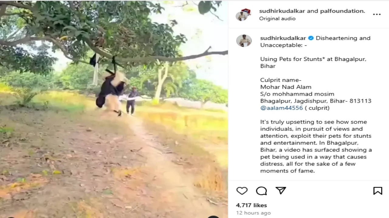 bihar insta post
