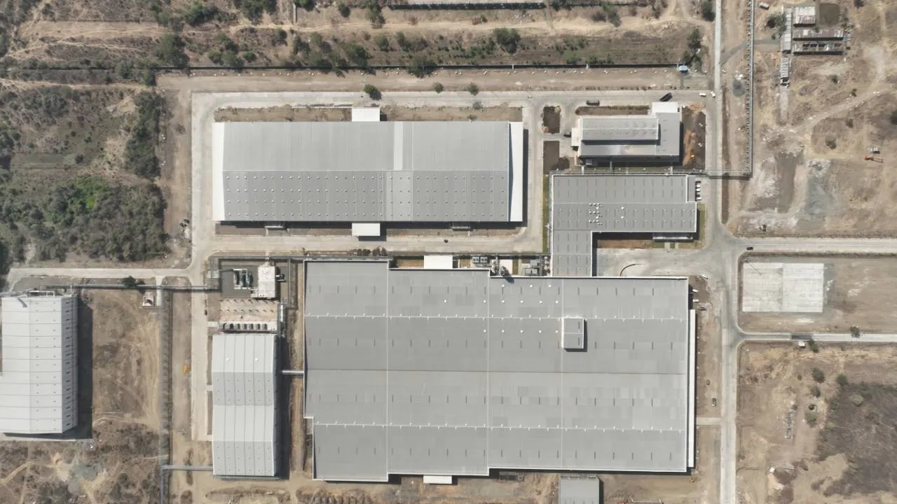 patanjali New company