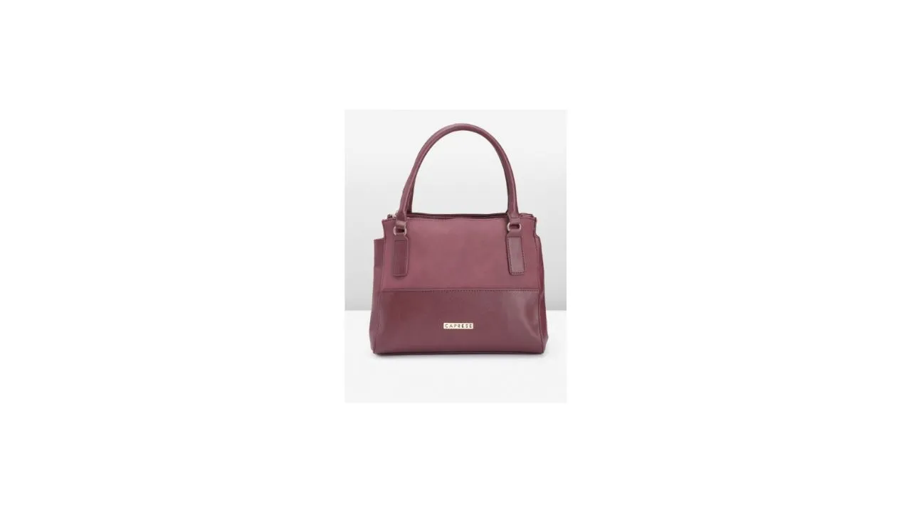 Caprese Solid Structured Handheld Bag