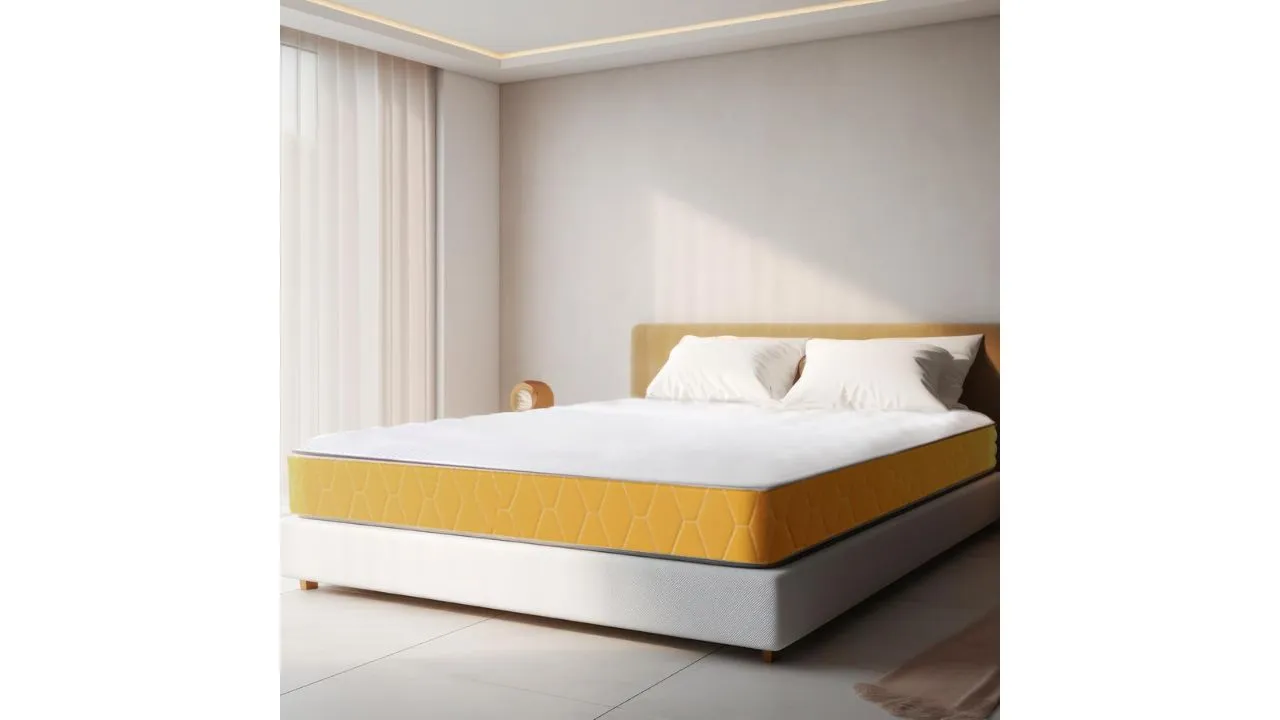 Sleepwell Dual Mattress