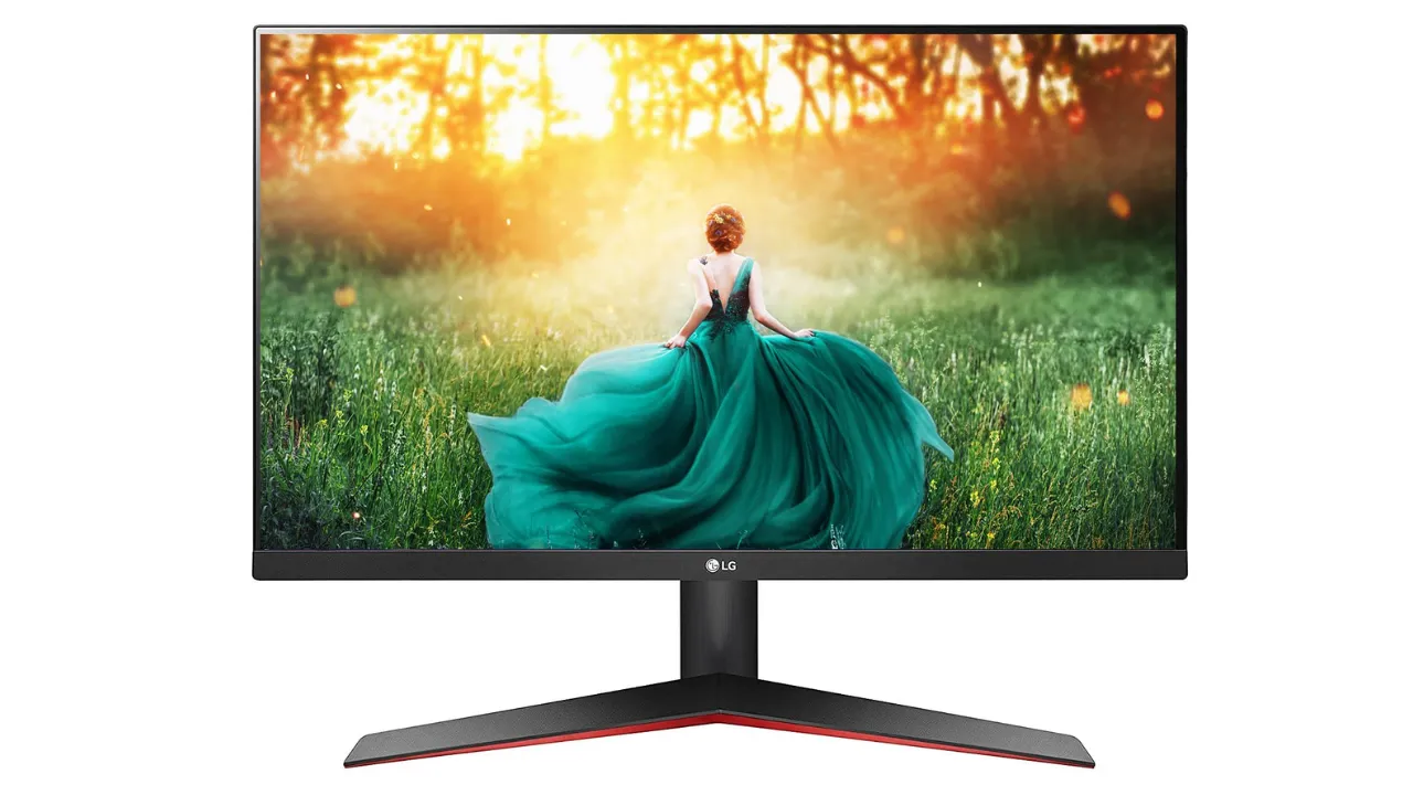 LG Electronics 24 Inch (60.9Cm) Full Hd Monitor 