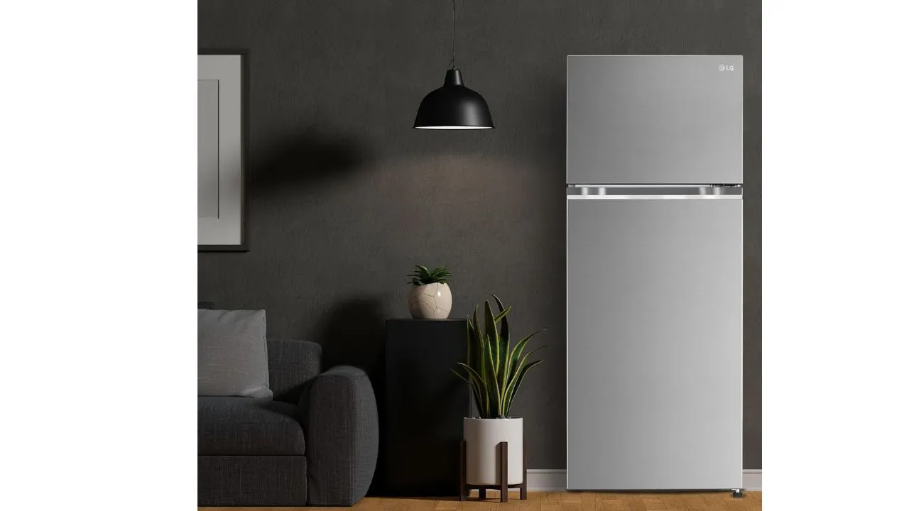 LG 272 L 3 Star Frost-Free Smart Inverter Compressor Double Door Refrigerator