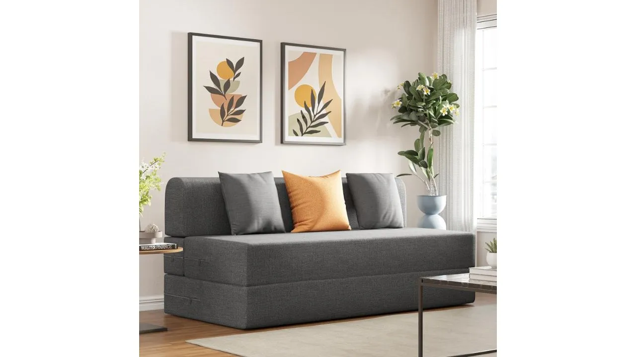 Wakefit Sofa Cum Bed
