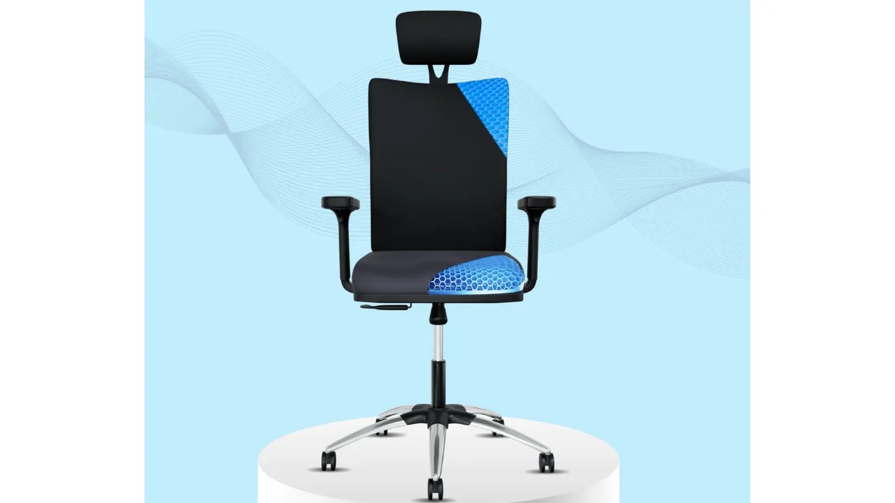 ErgoSmart by The Sleep Company - Plus Orthopedic Office Chair