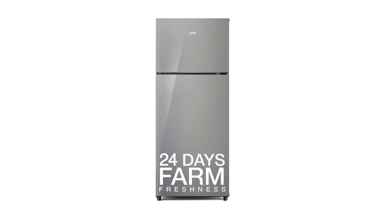 Godrej 238 L 2 Star Inverter Double Door Refrigerator 