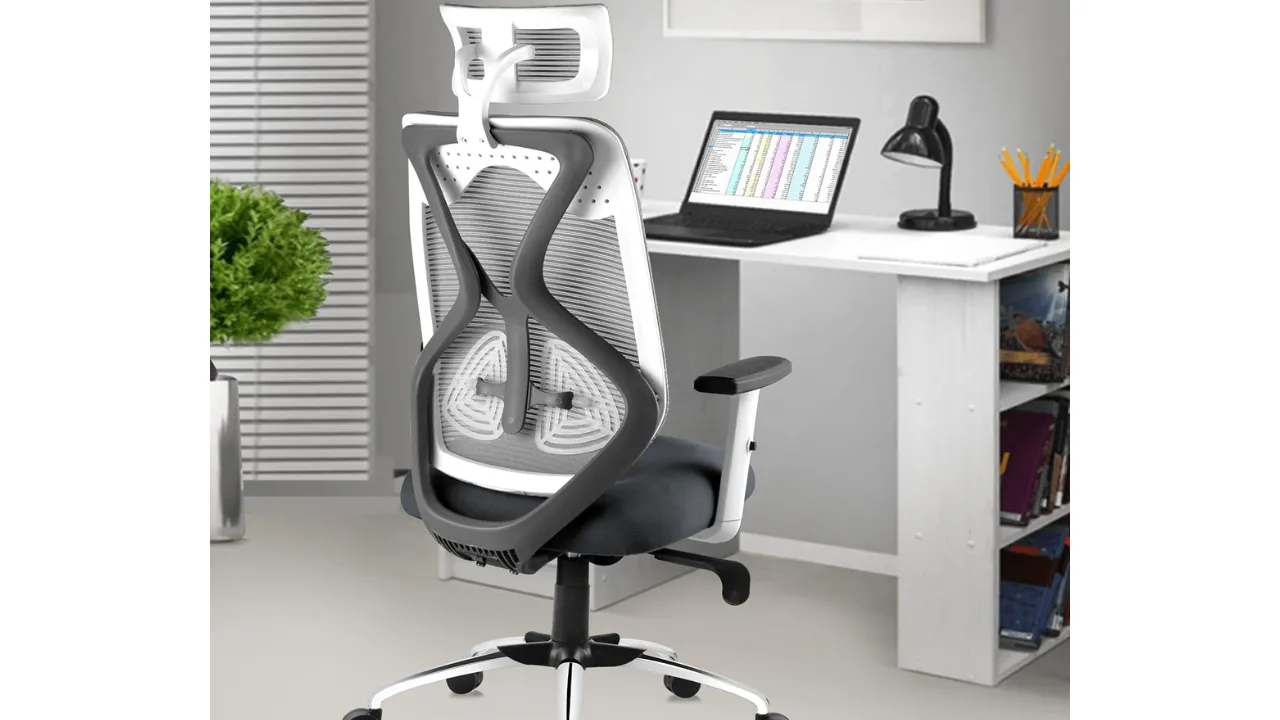 ASTRIDE Ergofit Ergonomic Office Chair for Home