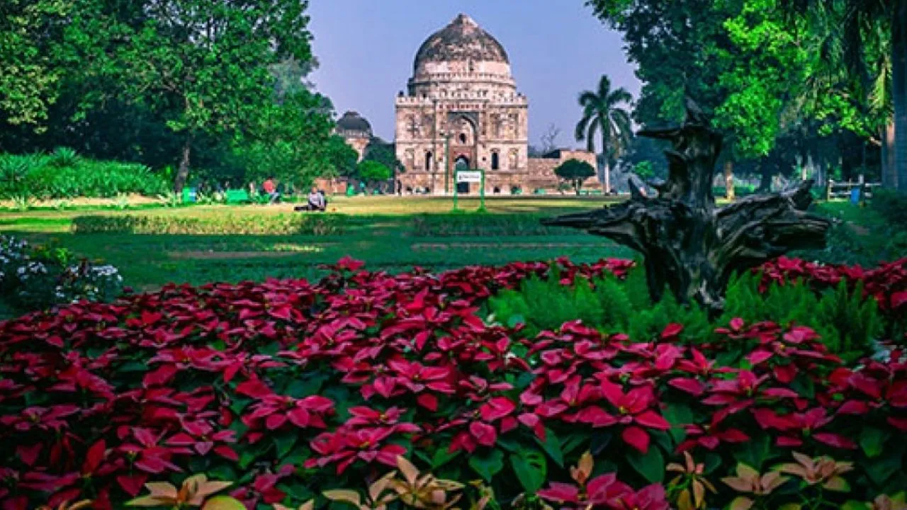 Lodhi Garden 