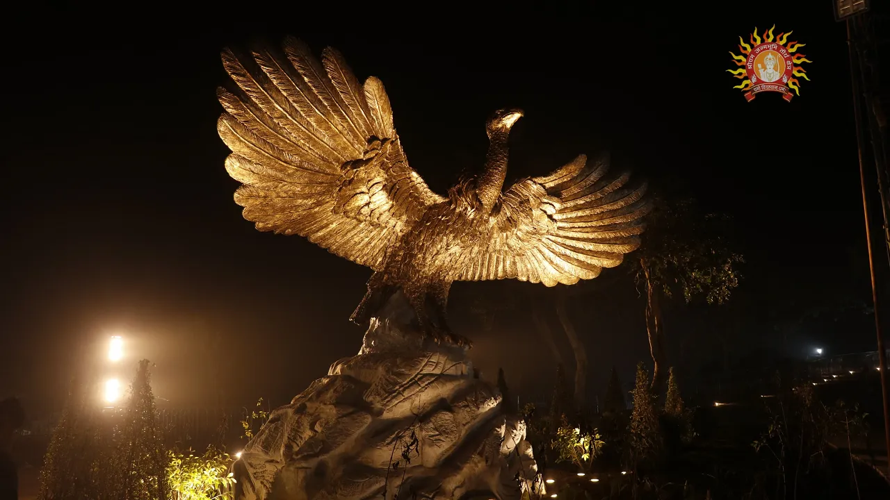 publive-image
