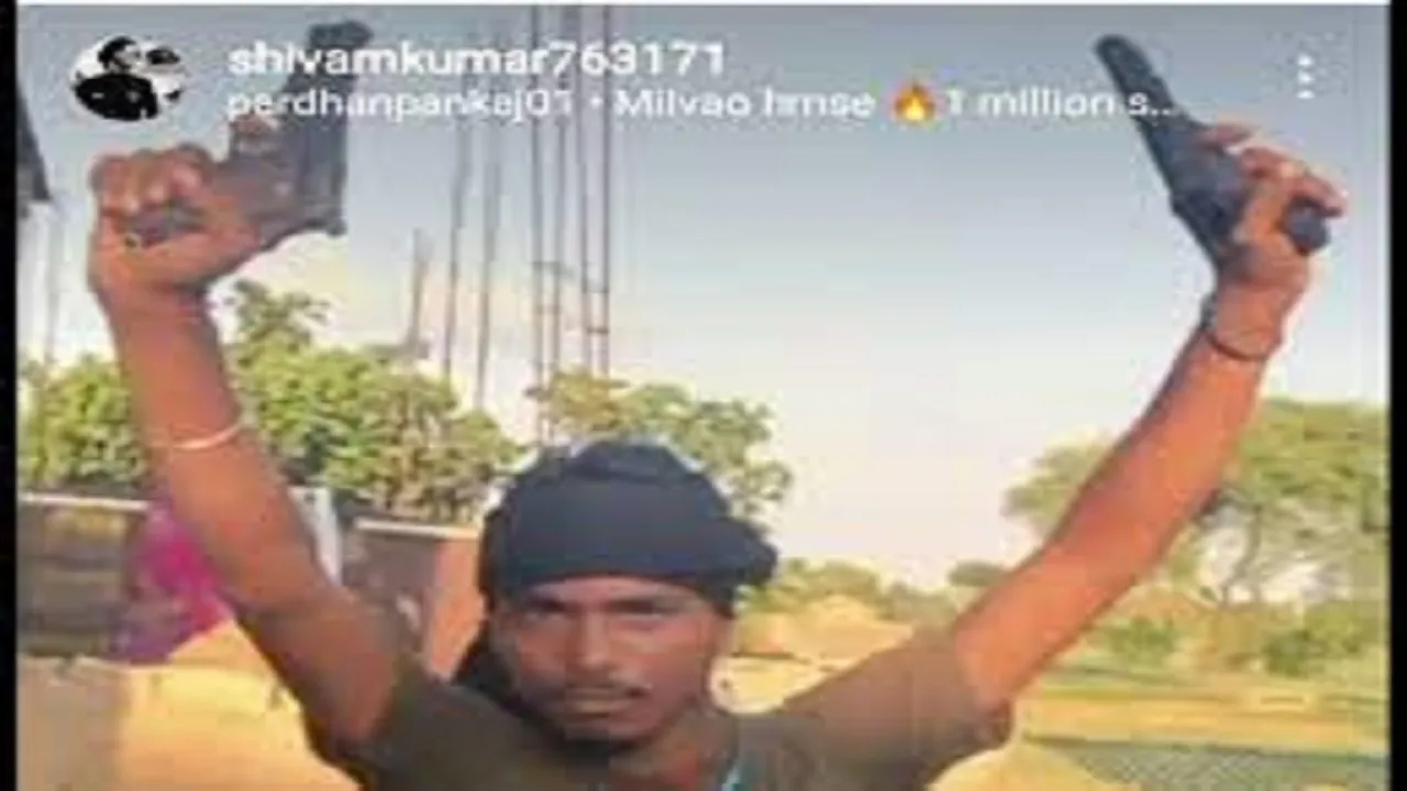 publive-image