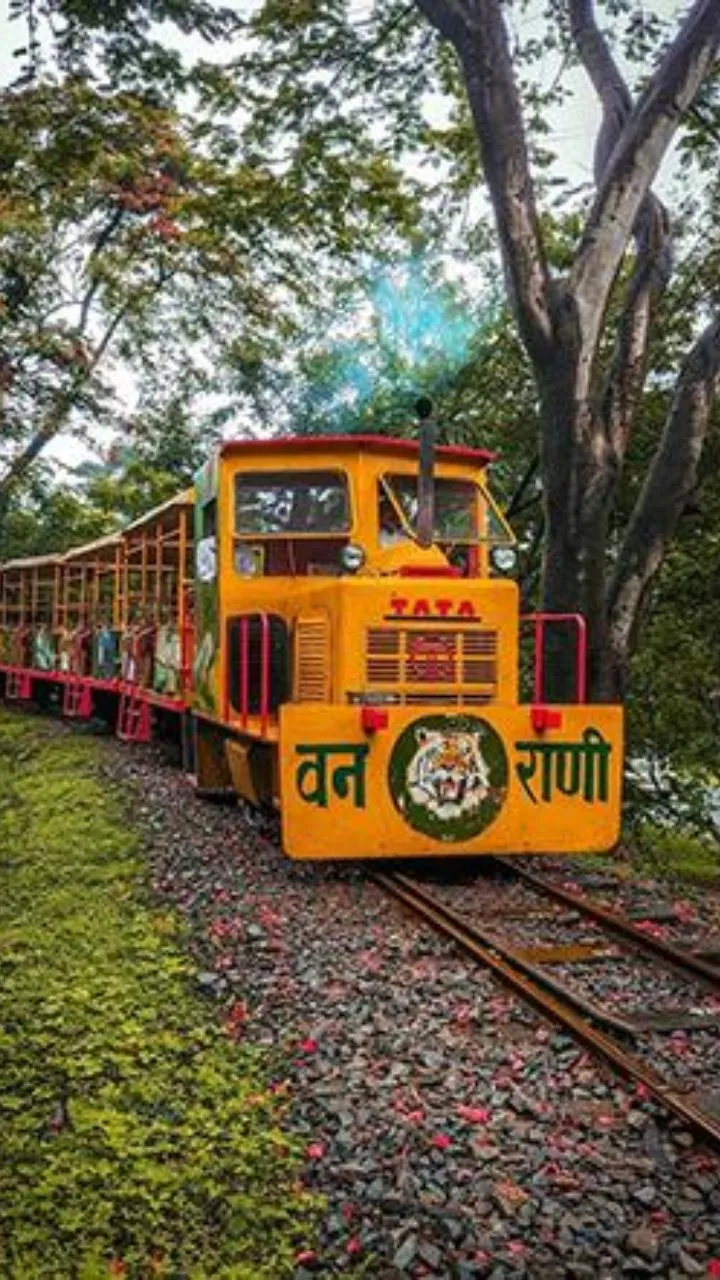 यहां आप जंगल की सैर कर सकते है. यहां तरह तरह के जानवर रहते हैं.