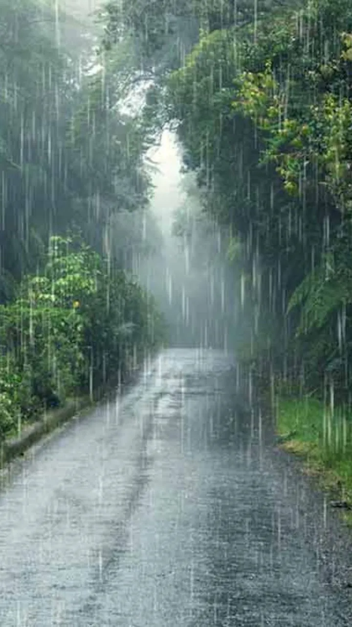 ज्यादातर लोग हिमाचल, मनाली जैसी जगहों पर पर जाते हैं