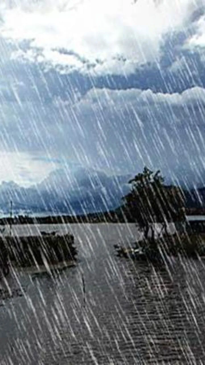 मानसून का मौसम शुरू होते ही पर्यटक घूमने का प्लान करते हैं