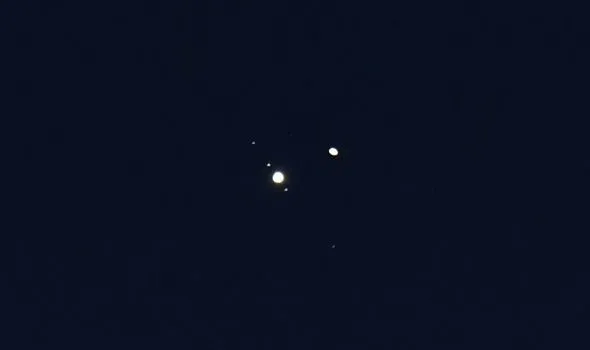 publive-image