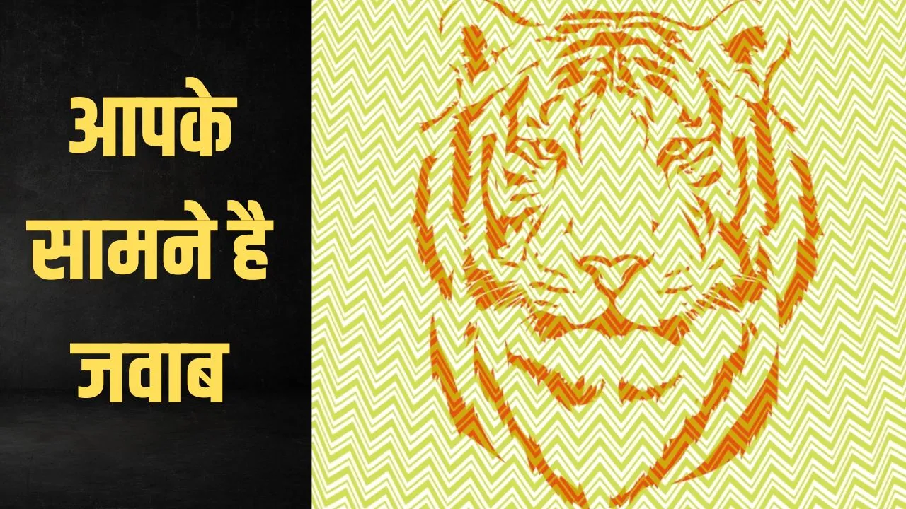 आपके सामने जवाब है