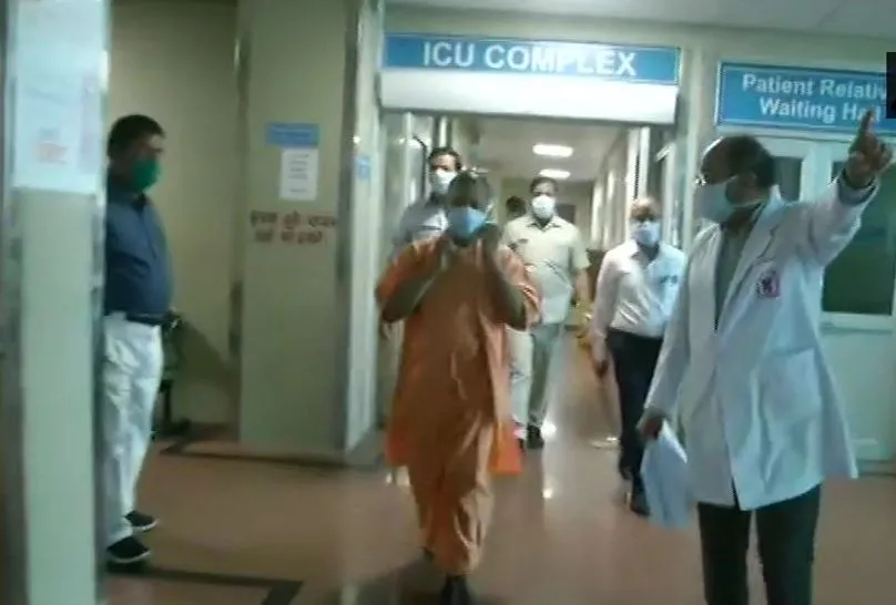 yogi 