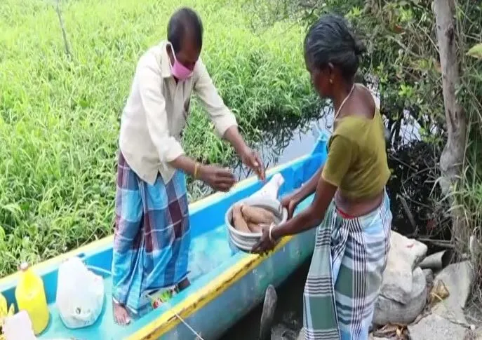 kerala 