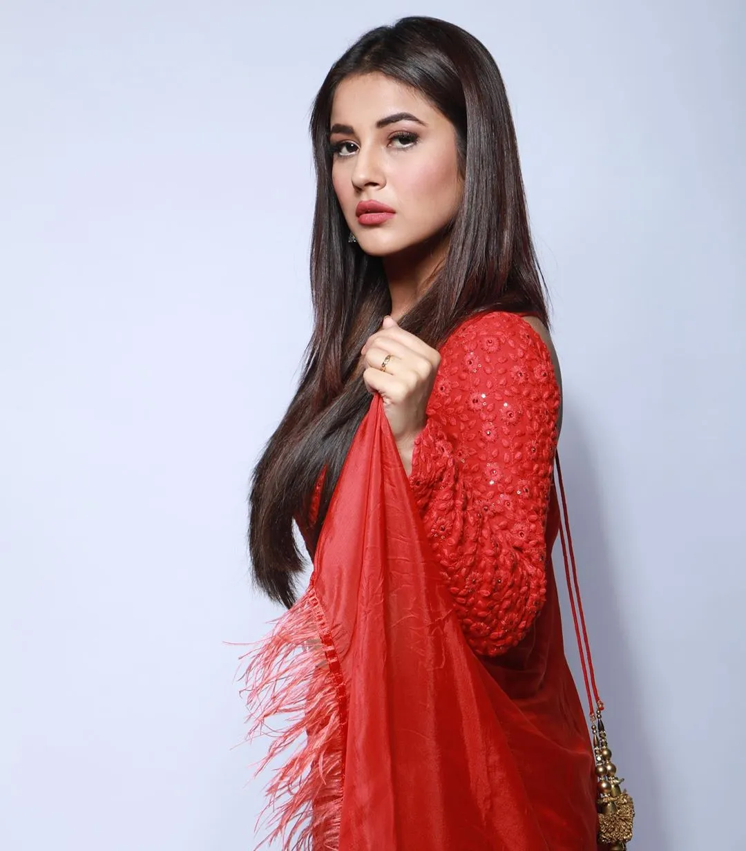 shehnaaz gill
