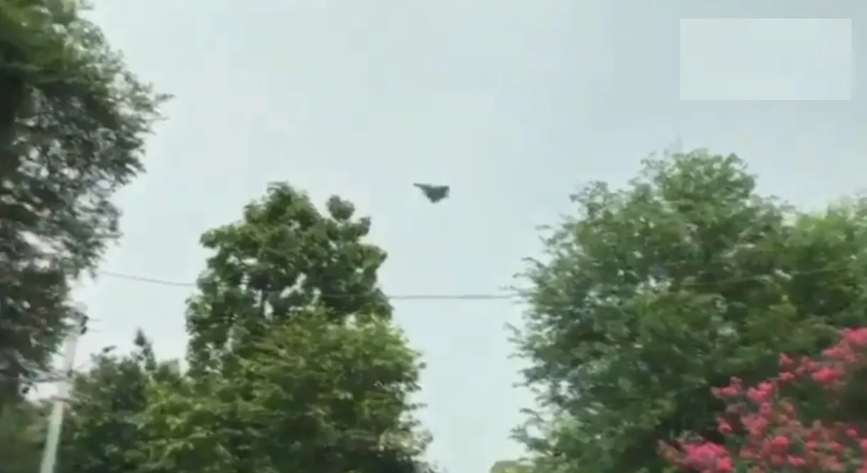 rafale 5 
