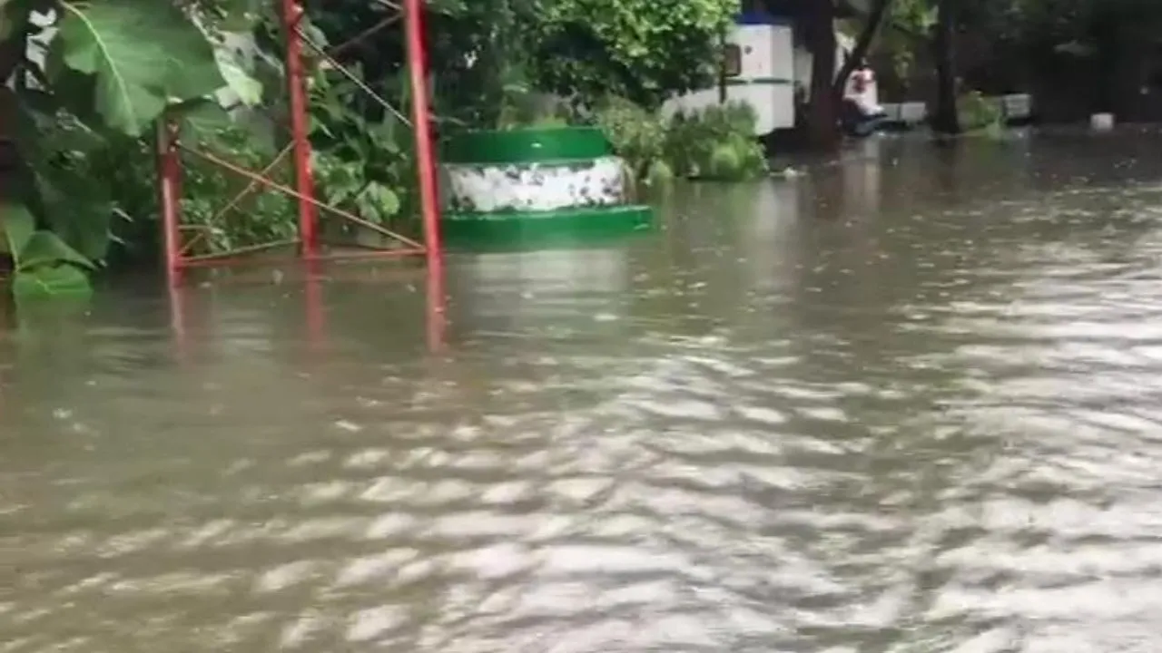 rain  23  