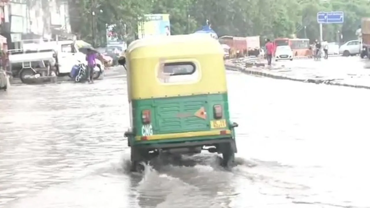 rain  19  